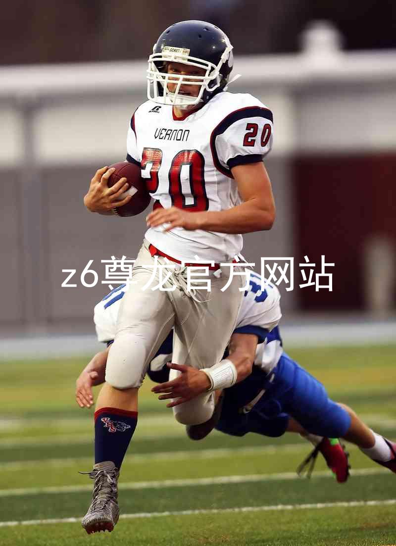 z6尊龙官方网站