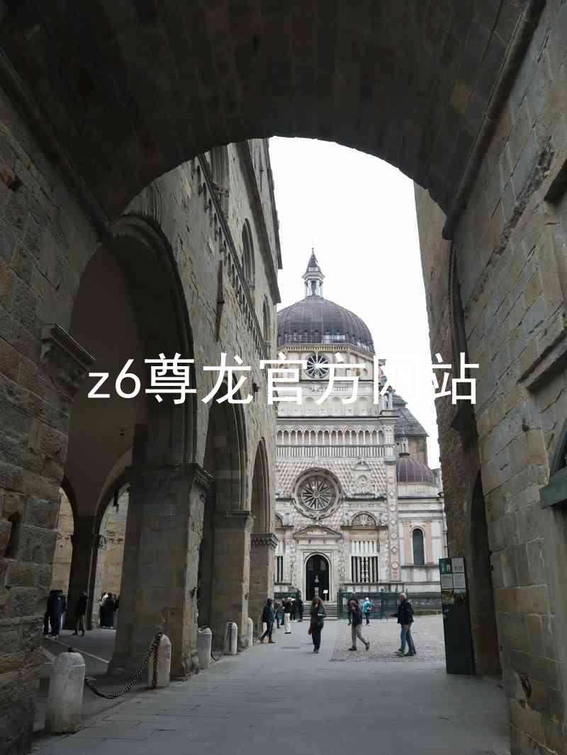 z6尊龙官方网站