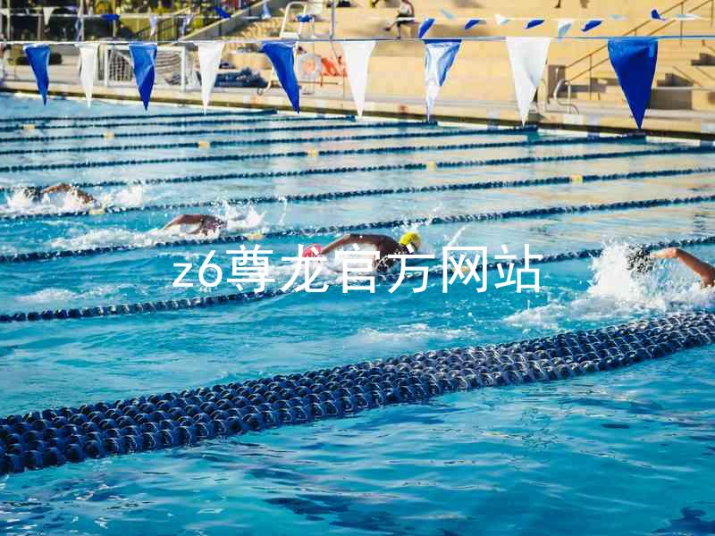 z6尊龙官方网站
